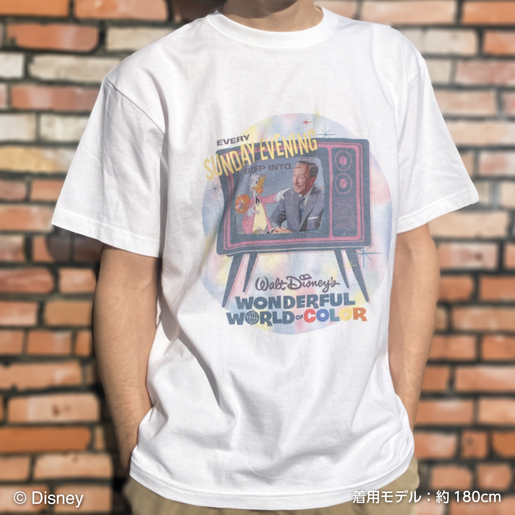 【Disney THE MARKET限定】ワンダフル・ワールド・オブ・カラー Tシャツ＜TV＞