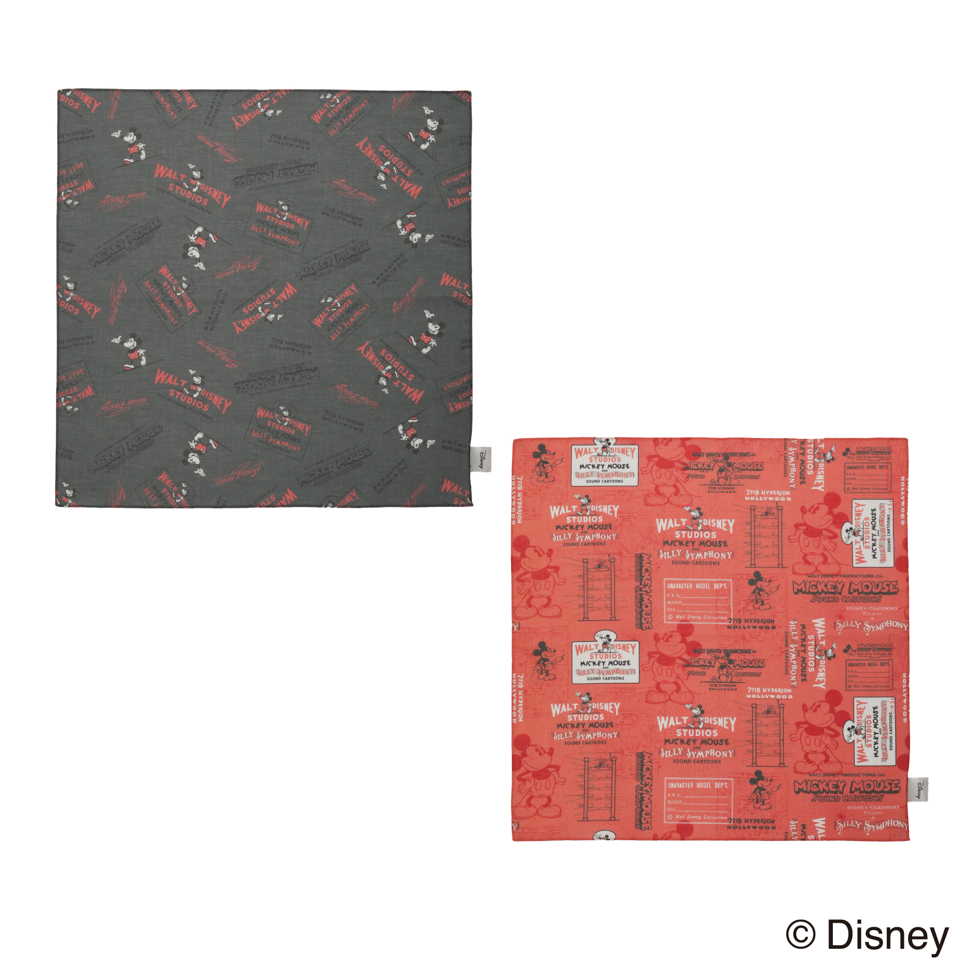 【Disney THE MARKET限定】バンダナ（全2種）