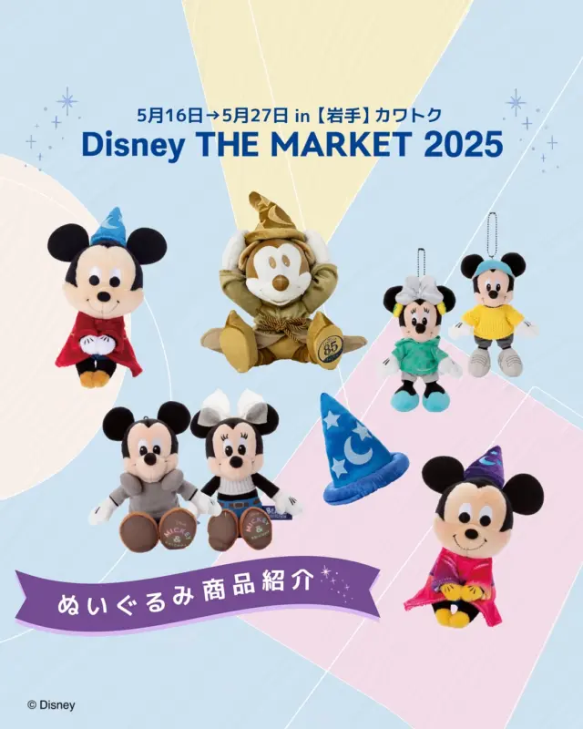 Disney THE MARKET 2025